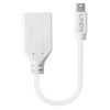 Adaptors | 41021 DisplayPort To Mini DisplayPort 1.4 Cable White Adaptors Adaptors