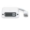 Adaptors | Mini DisplayPort To DVI Adapter White Adaptors Adaptors