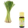 Aroma Diffusers | Lemongrass Essential Oil 10ml Green / Brow / Yellow Aroma Diffusers Aroma Diffusers