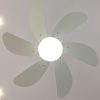 Fans | Ceiling Fan Energysilence Aero 3600 Vision Mint Black Climatization Black