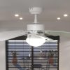 Fans | Ceiling Fan Energysilence Aero 3600 Vision Mint Black Climatization Black