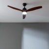 Fans | EnergySilence Aero 5275 ceiling fan Black / Dark Wood Climatization Black