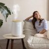 Humidifiers and Dehumidifiers | AH 680 Humidifier White Climatization Humidifiers & Dehumidifiers